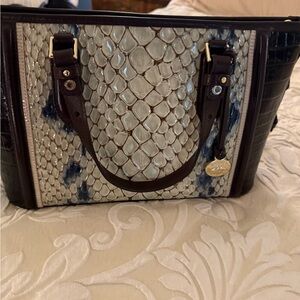 Brahmin Mini Asher Glacier Carlisle